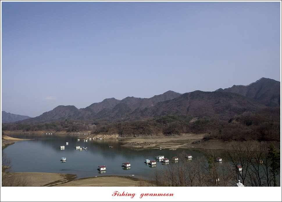 충주호 첫 붕어달천강 월척 (조황조행기 - 특파원조황)