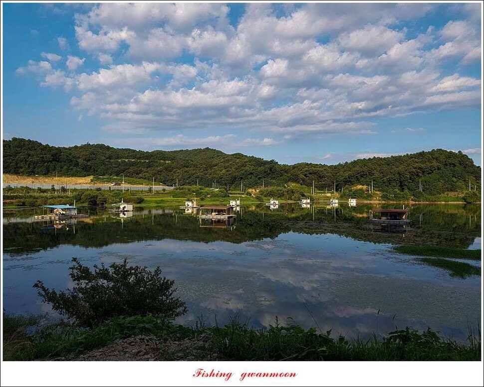 화곡지서유석 장어신리실리곡 월척 조황 (조황조행기 - 특파원조황)