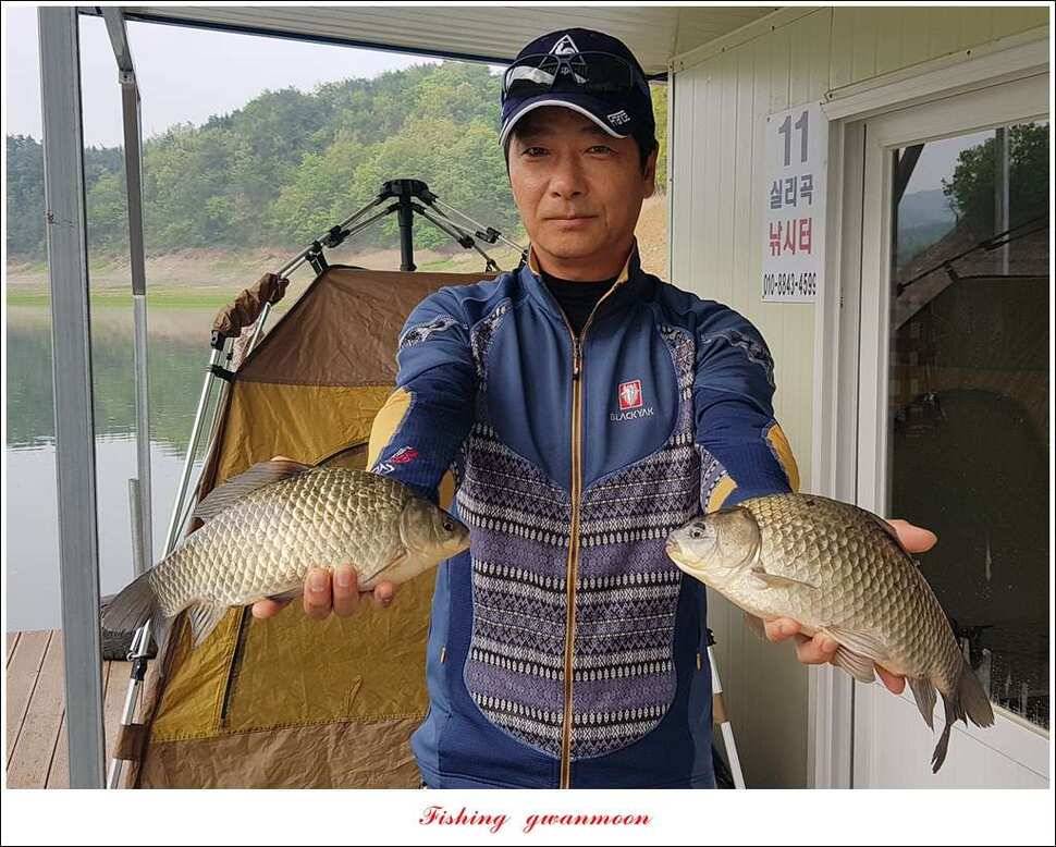 충주호 사짜 대박칠성지 사짜 (조황조행기 - 특파원조황)