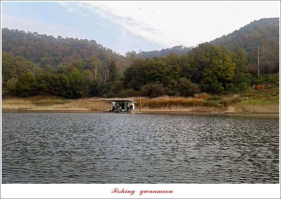 신매실리곡한버들 월척 조황 (조황조행기 - 특파원조황)