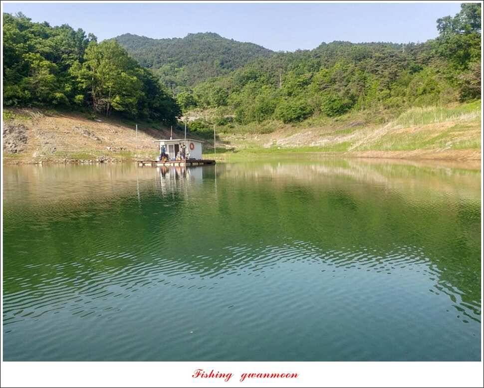 돌감 사짜한버들실리곡청풍 신리 월척 조황 소식 (조황조행기 - 특파원조황)