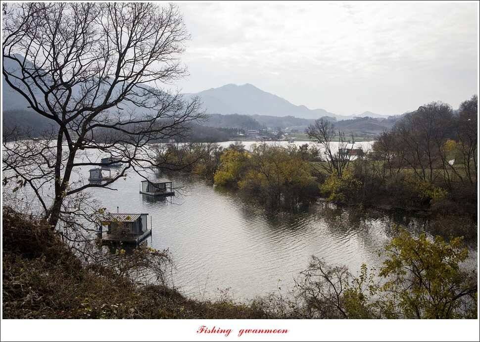 제일 낚시터 월척 및 마릿수 조황 (조황조행기 - 특파원조황)