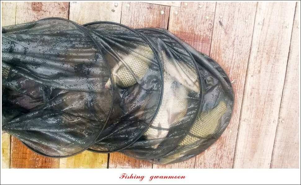 매전지화곡지돌감실리곡한버들 조황 (조황조행기 - 특파원조황)