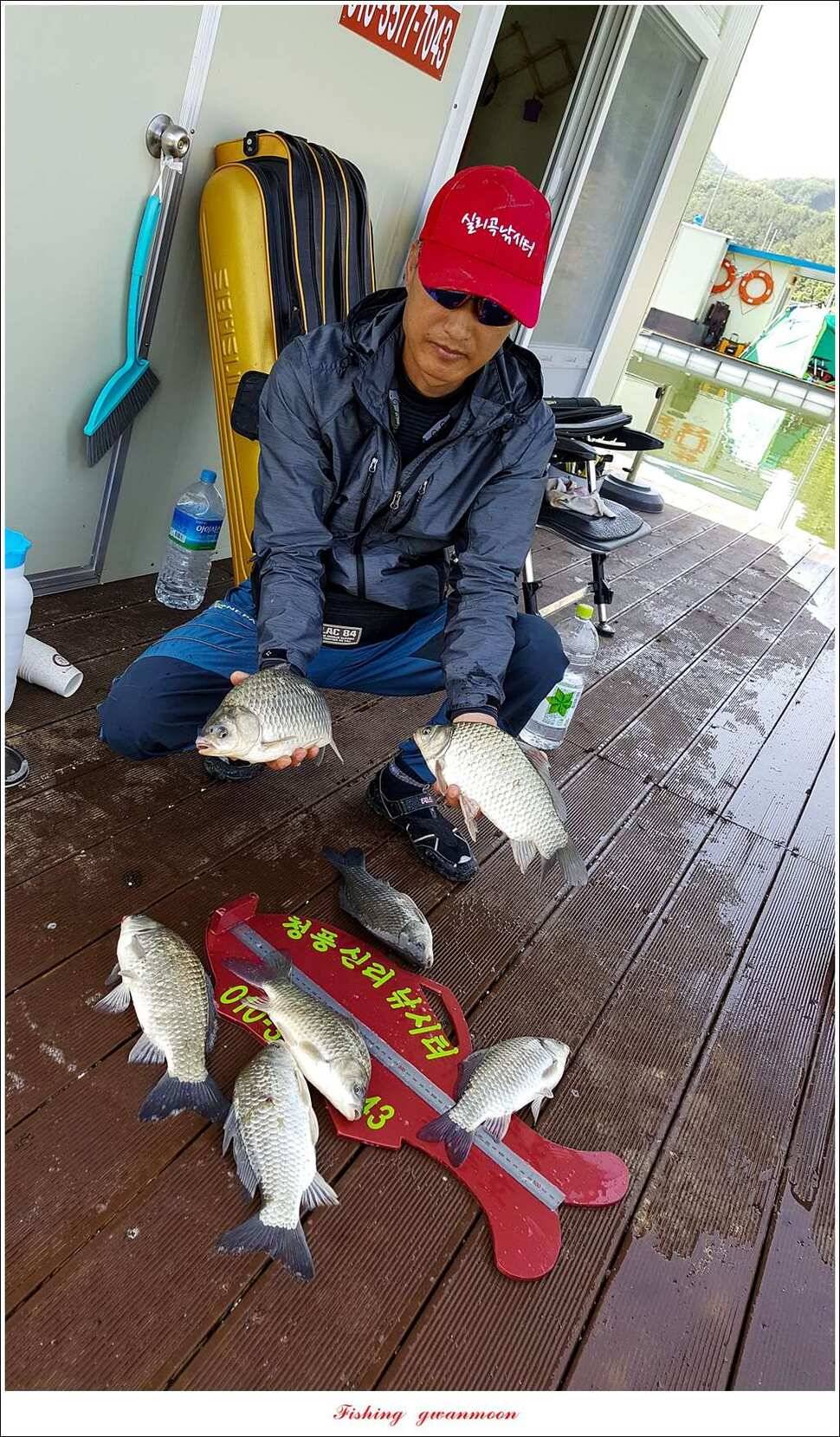 돌감 사짜한버들실리곡청풍 신리 월척 조황 소식 (조황조행기 - 특파원조황)