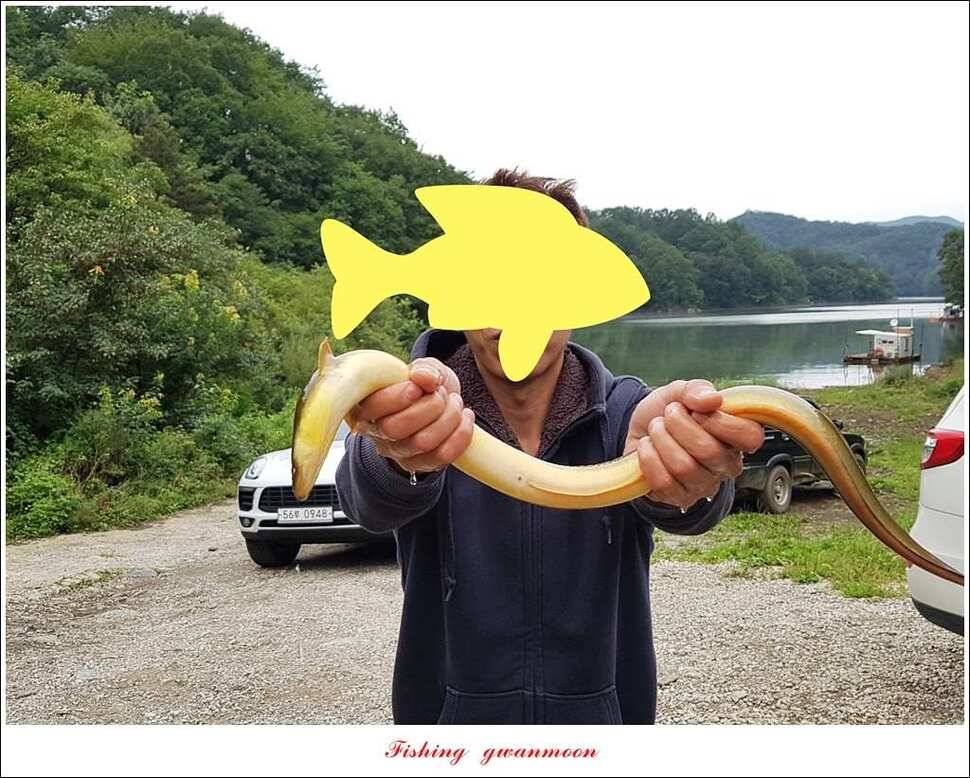 돌감늘푸른달천강 조황 및 소류지 사짜 (조황조행기 - 특파원조황)