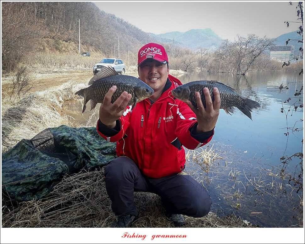 화곡지 사짜 및 마릿수 월척 칠성지 조황 (조황조행기 - 특파원조황)