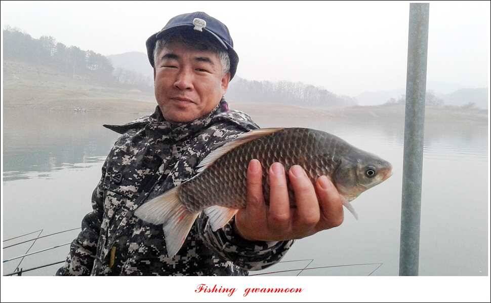 충주호 겨울 낚시빙어 낚시 (조황조행기 - 특파원조황)