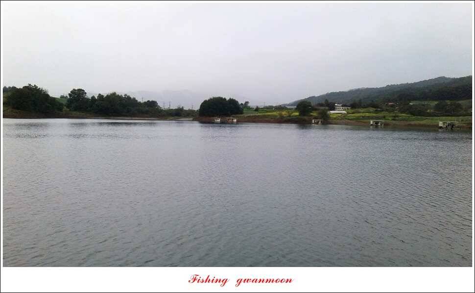 병호 445 cm실리곡돌감한버들노지조황 (조황조행기 - 특파원조황)