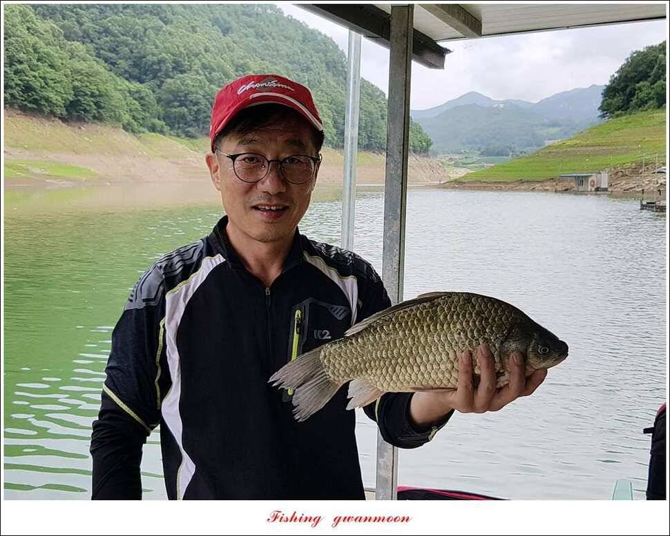 한버들 39 cm37cm실리곡 38 cm 조황 (조황조행기 - 특파원조황)