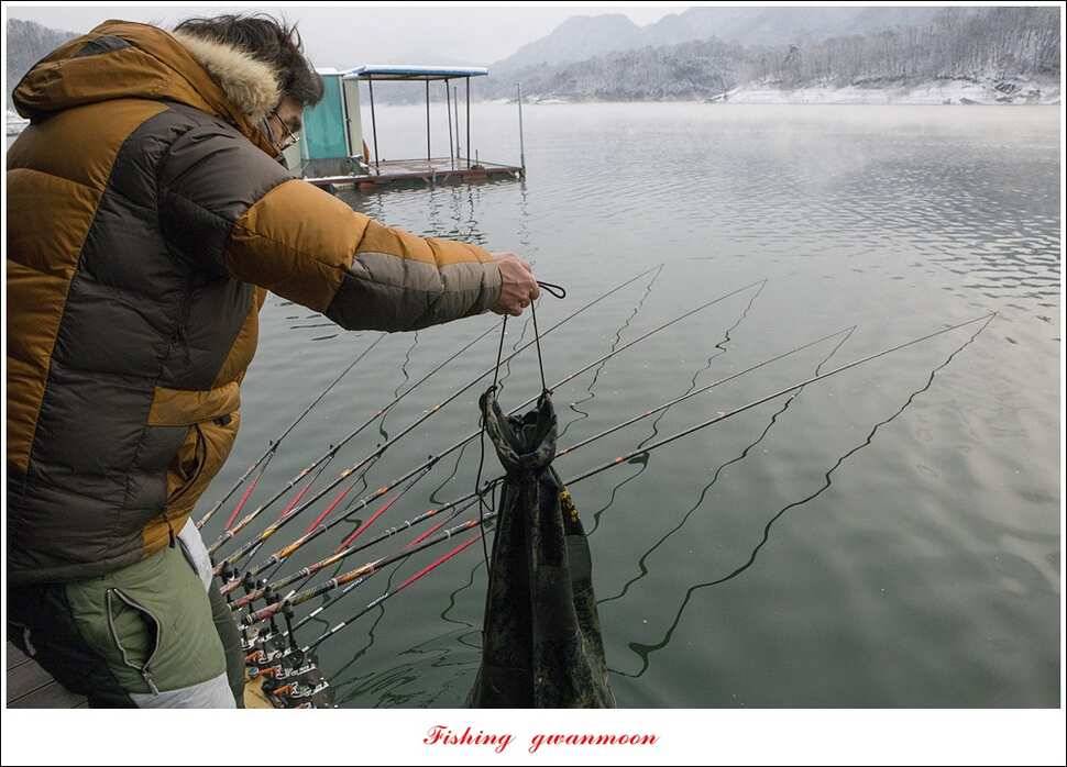 제일 47 cm 대물실리곡한버들 마릿수 월척 조황 (조황조행기 - 특파원조황)