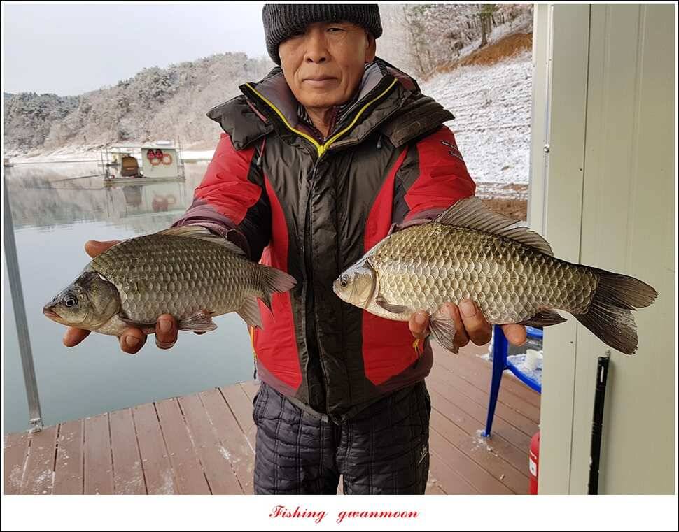 제일 47 cm 대물실리곡한버들 마릿수 월척 조황 (조황조행기 - 특파원조황)
