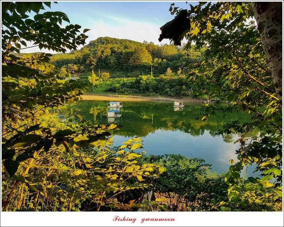 화곡지 사짜실리곡 월척 및 마릿수 조황 (조황조행기 - 특파원조황)