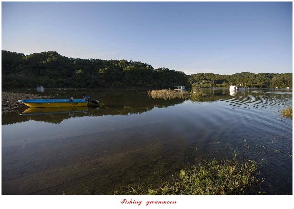 돌감 월척실리곡 월척 조황 (조황조행기 - 특파원조황)