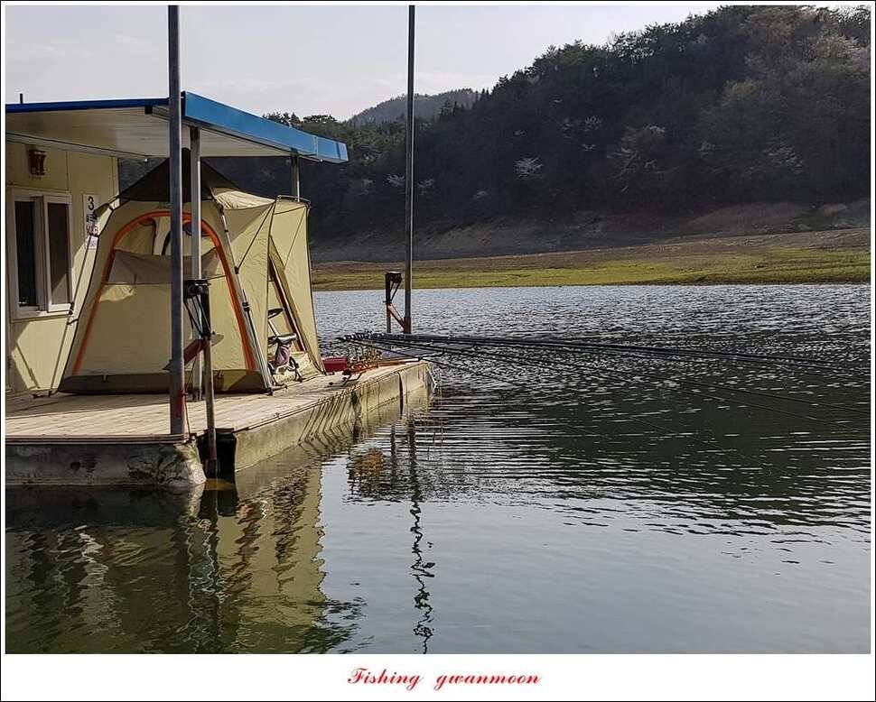 함지 마릿수 사짜실리곡 마릿수 월척 (조황조행기 - 특파원조황)