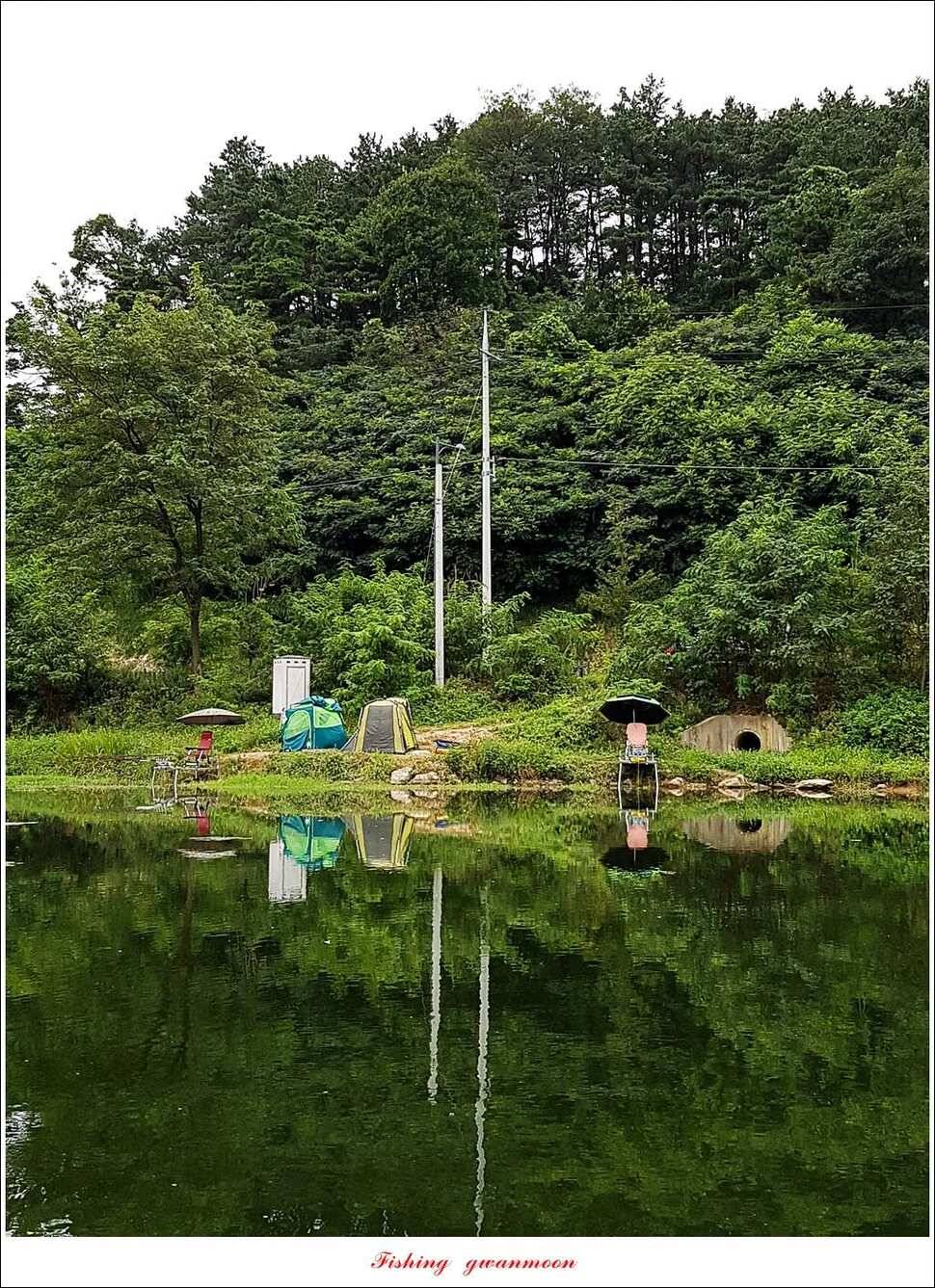 추평지화곡지한버들두무소달천강소류지 조황 (조황조행기 - 특파원조황)