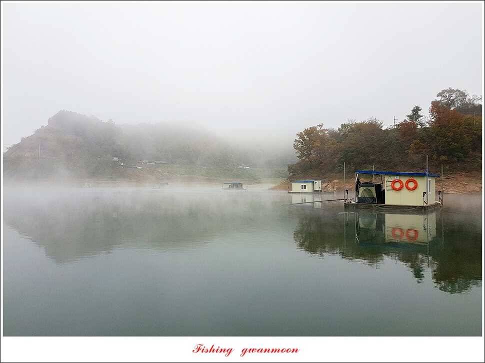 한버들 허리급실리곡 월척 및 마릿수 조황 (조황조행기 - 특파원조황)