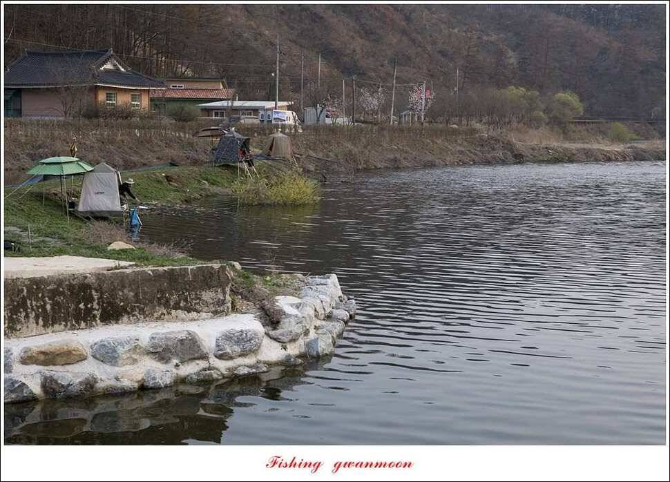 매전지 사짜달천강 사짜추평지 조황 (조황조행기 - 특파원조황)