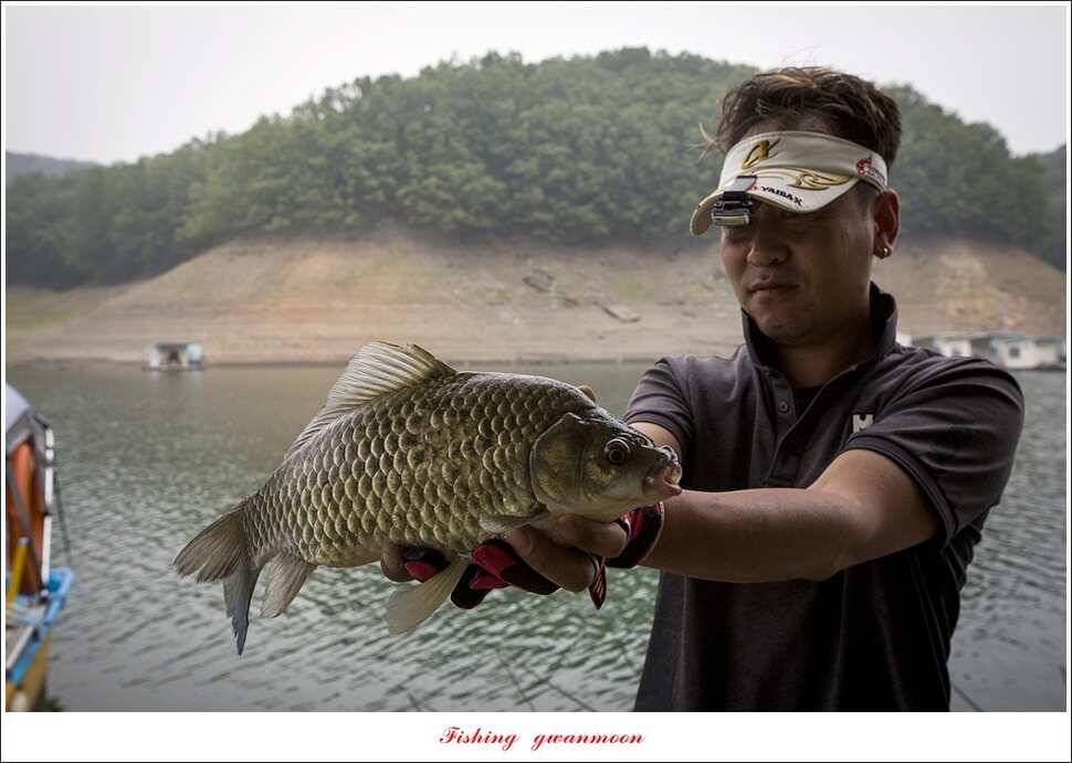 신매 42 cm 외 충주호 조황 (조황조행기 - 특파원조황)