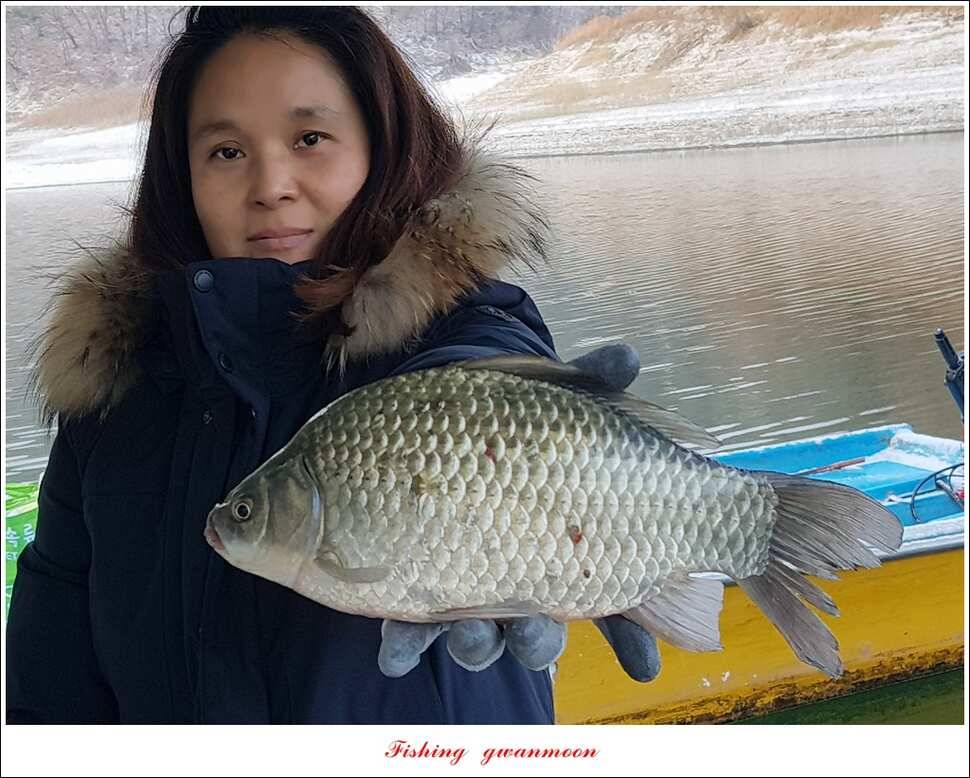 제일 마릿수 월척실리곡 월척 조황 (조황조행기 - 특파원조황)