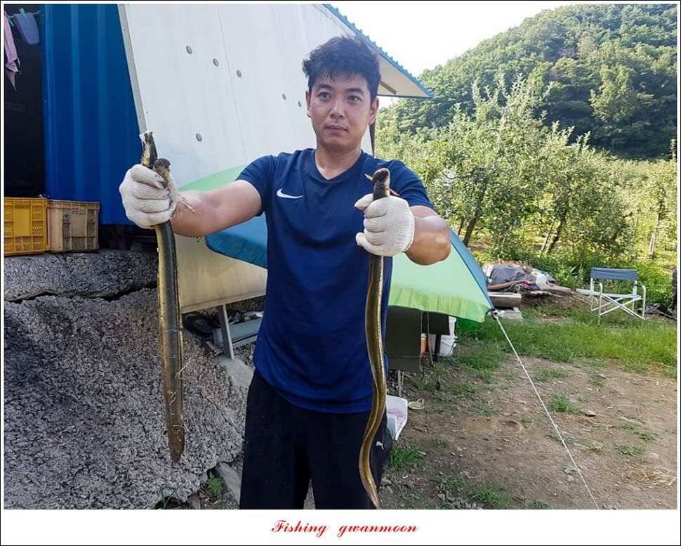 화곡지서유석 장어신리실리곡 월척 조황 (조황조행기 - 특파원조황)