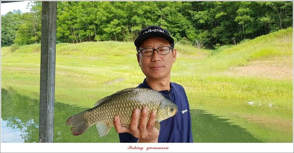 신매 42 cm돌감신리실리곡제일화곡지 조황 (조황조행기 - 특파원조황)