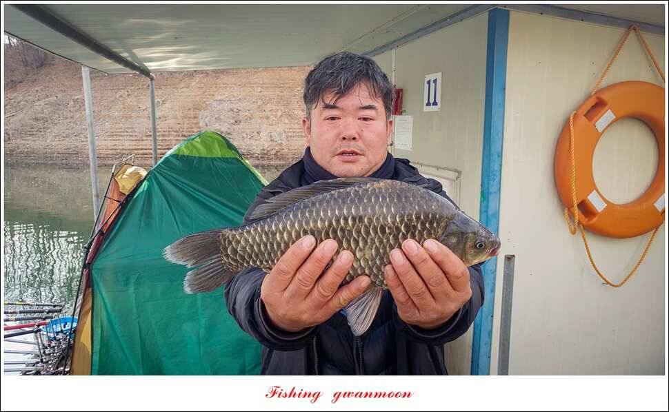 돌감한버들실리곡제일 월척 조황 (조황조행기 - 특파원조황)
