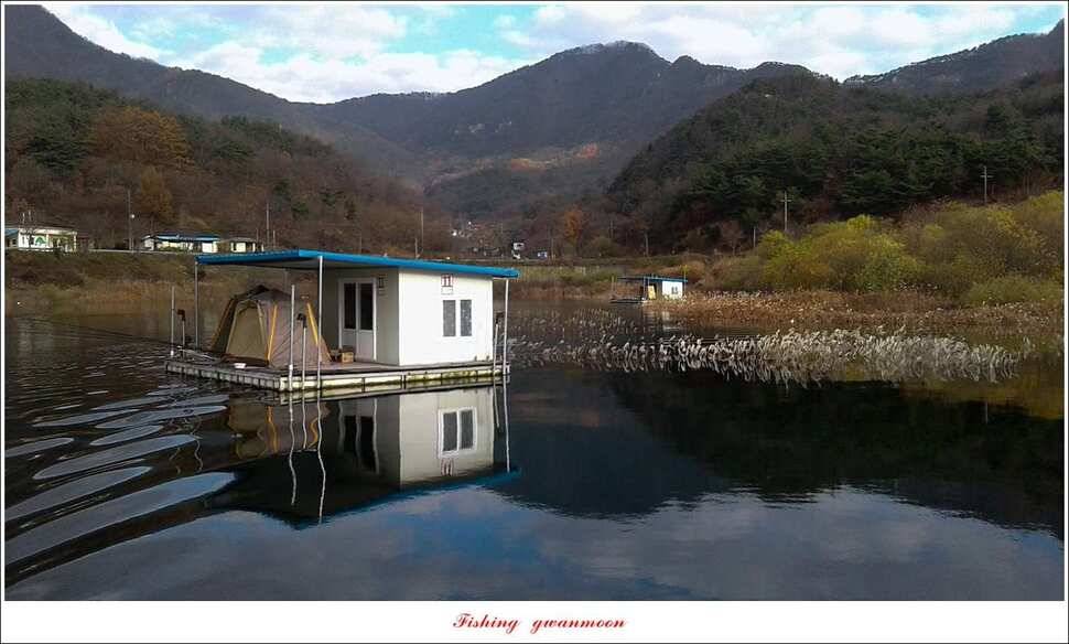 실리곡 405 cm종점 38 cm제일 37 cm대물 조황 (조황조행기 - 특파원조황)