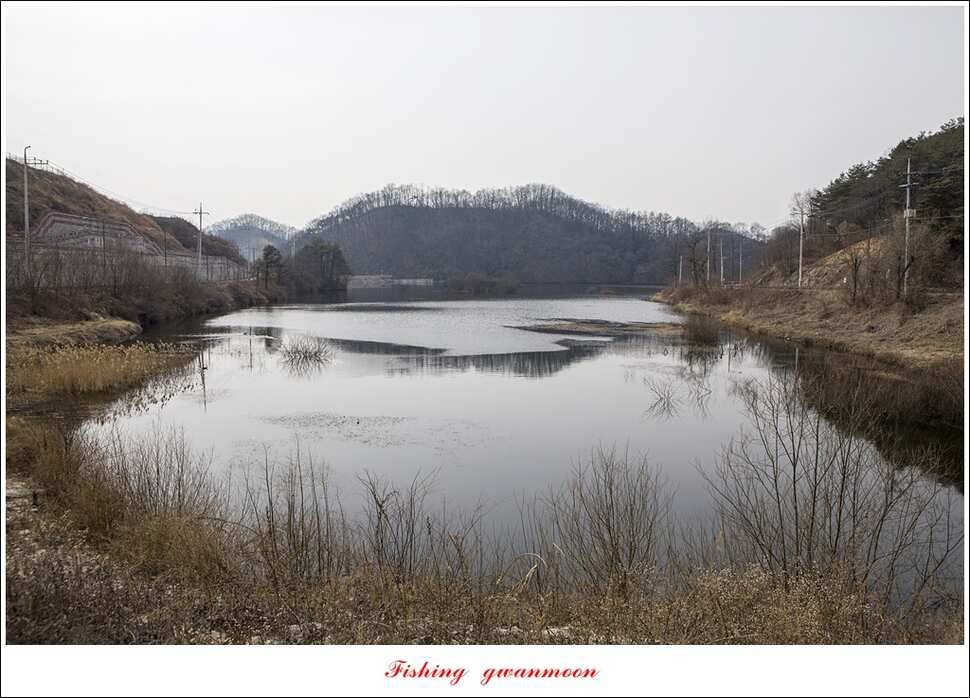 충주괴산권 물낚시 (조황조행기 - 특파원조황)
