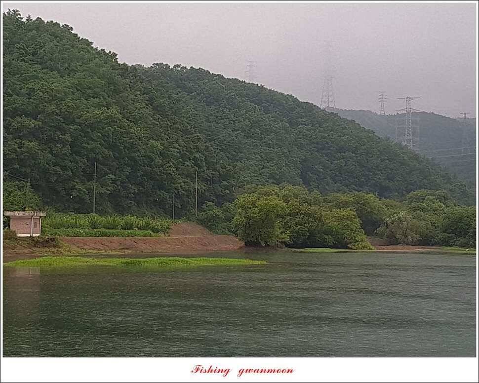 충주호 오름수위 (조황조행기 - 특파원조황)
