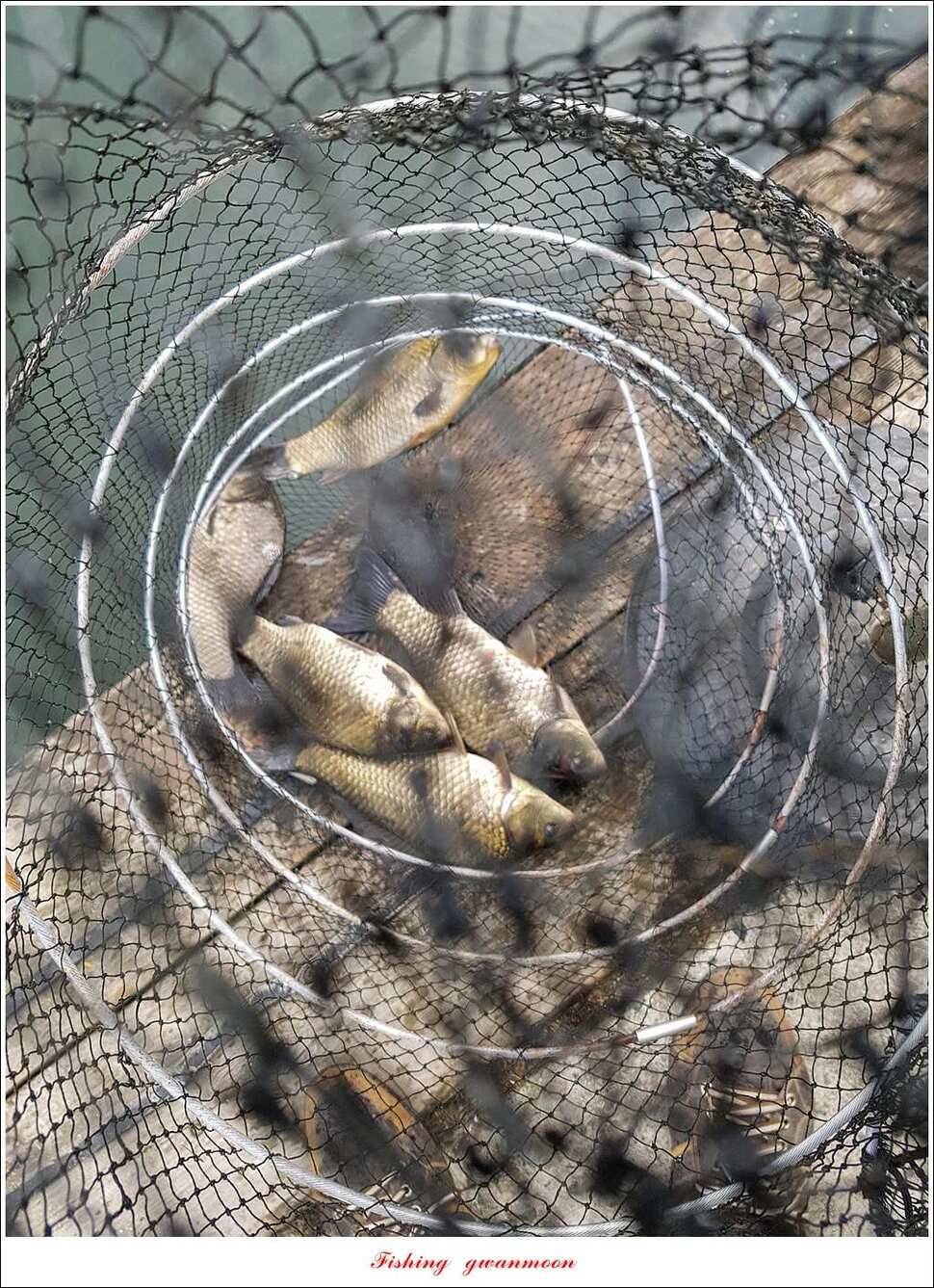 화곡지 사짜칠성지 사짜실리곡 월척 (조황조행기 - 특파원조황)