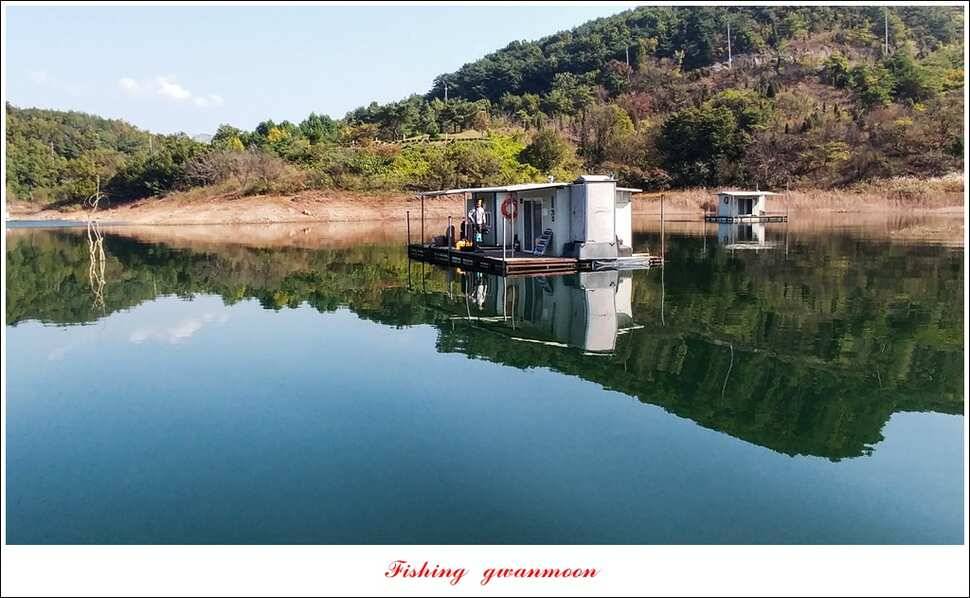 신매윤병호돌감 좌대 월척 조황 (조황조행기 - 특파원조황)
