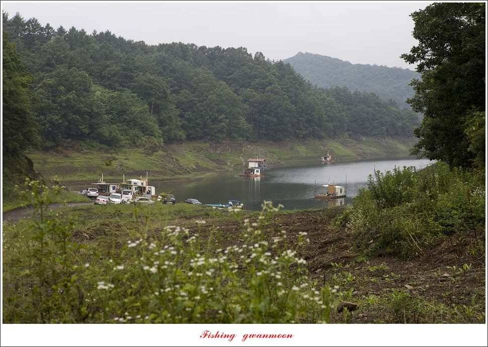 충주호 오름수위 대박 조황 (조황조행기 - 특파원조황)