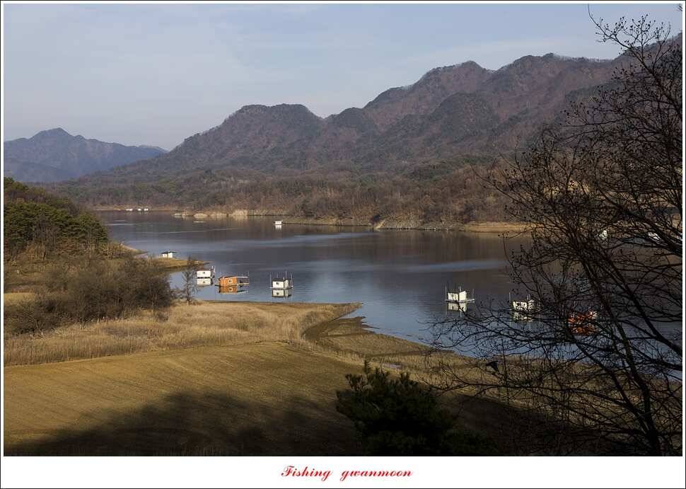 화곡지 사짜 및 마릿수 월척 조황 (조황조행기 - 특파원조황)