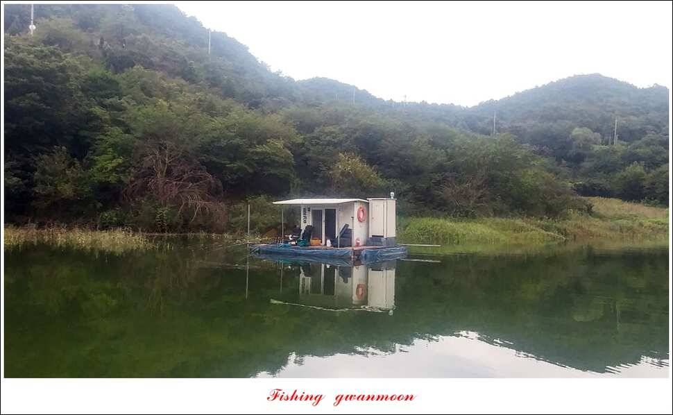 매전지화곡지돌감실리곡한버들 조황 (조황조행기 - 특파원조황)