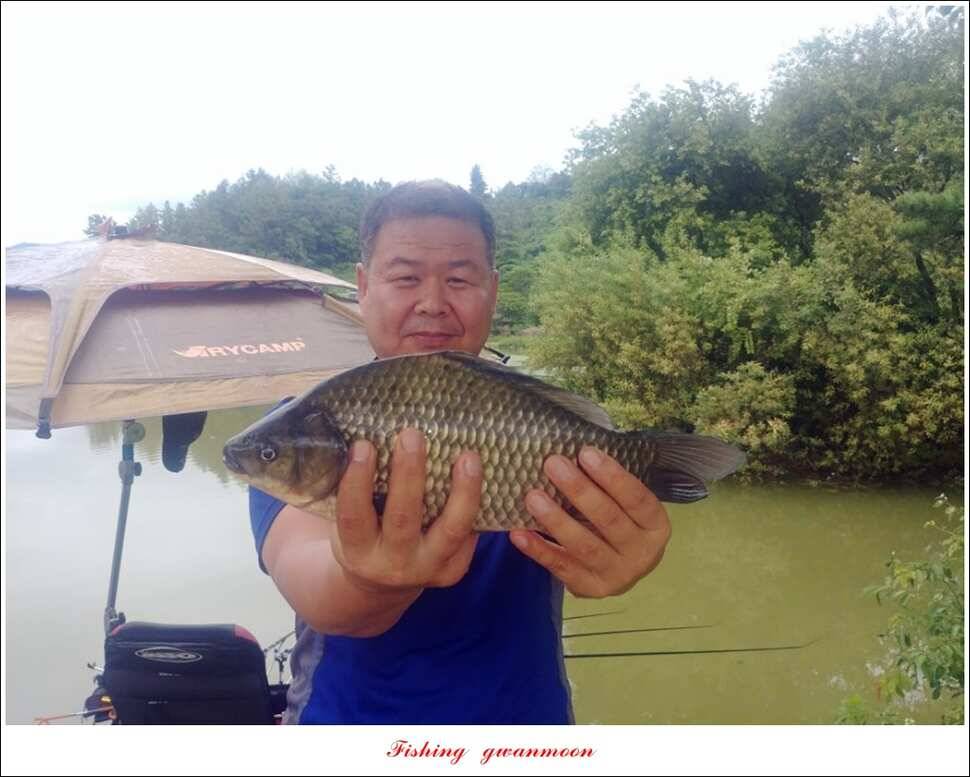 실리곡 435 cm 대물칠성지화곡지 조황 (조황조행기 - 특파원조황)