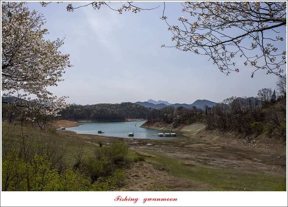 실리곡충주호 노지달천강괴산권 조황 (조황조행기 - 특파원조황)
