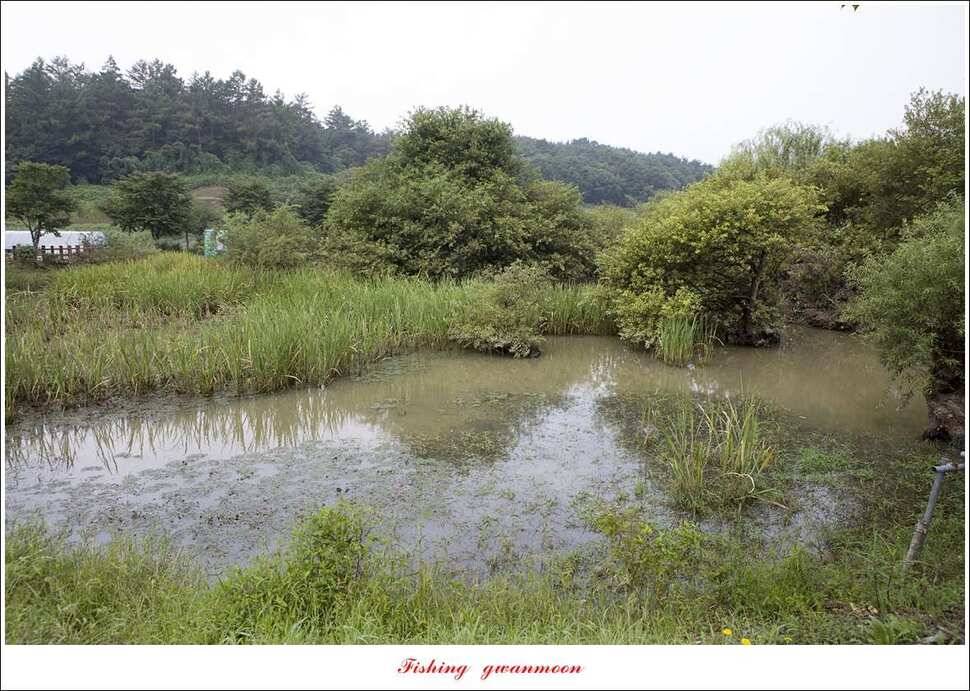 병호돌감실리곡신리칠성지매전지 조황 (조황조행기 - 특파원조황)