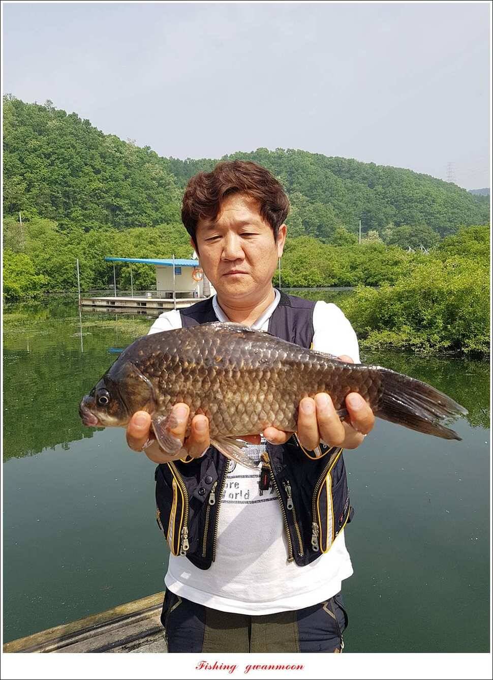 화곡지 사짜돌감 월척 (조황조행기 - 특파원조황)