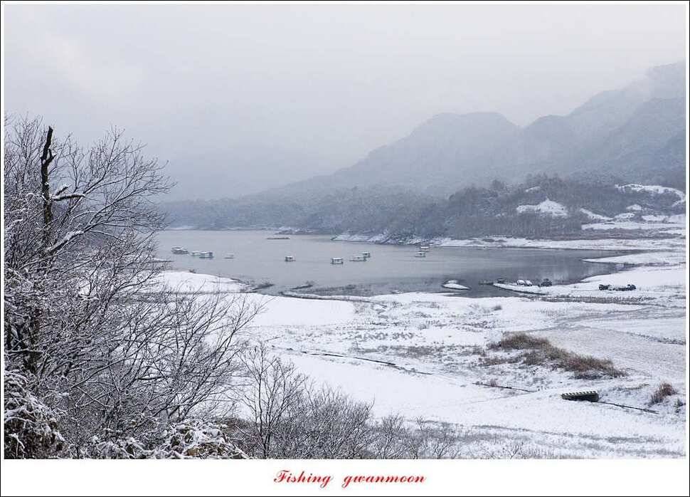 제일 47 cm 대물실리곡한버들 마릿수 월척 조황 (조황조행기 - 특파원조황)
