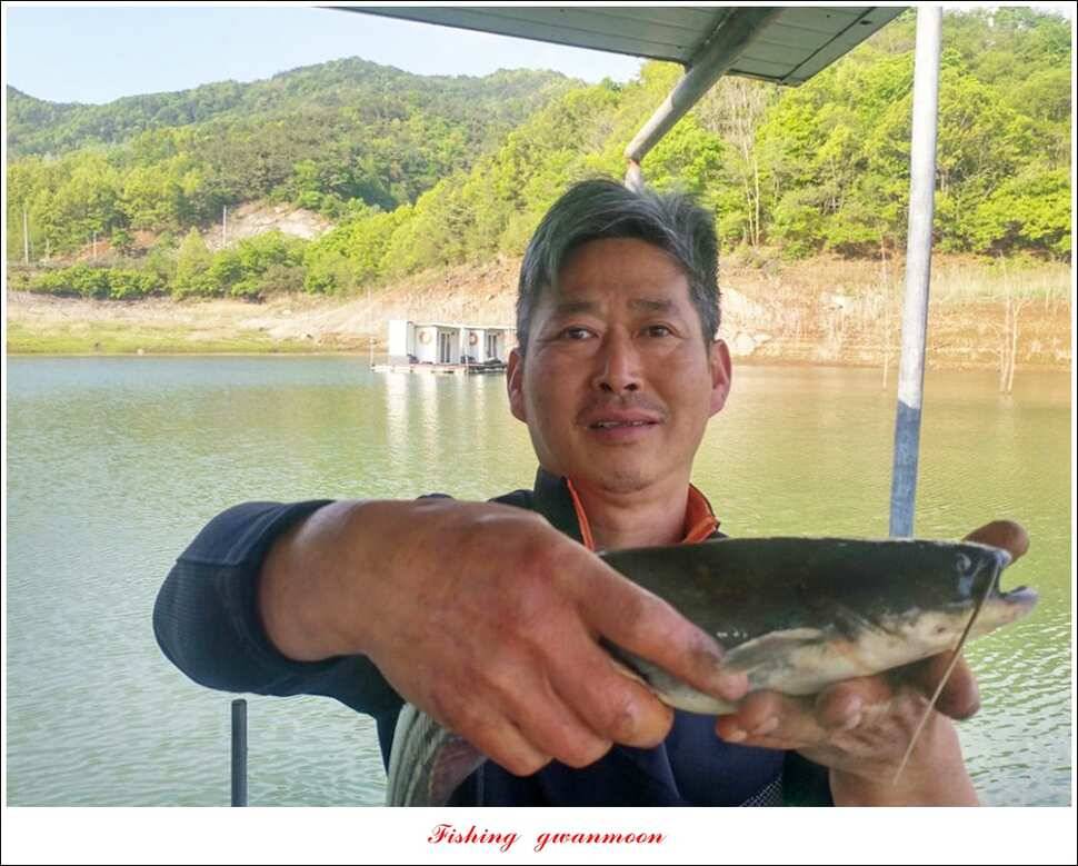 추평 465 cm칠성지 사짜충주호 조황 (조황조행기 - 특파원조황)
