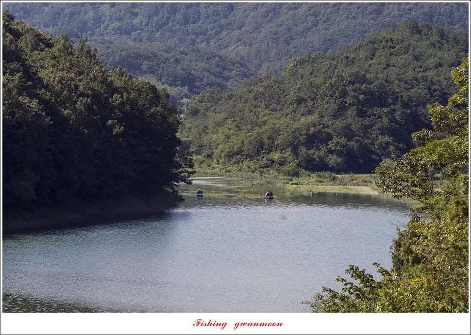 돌감 마릿수 월척실리곡 마릿수 월척칠성지소이지 월척 조황 (조황조행기 - 특파원조황)