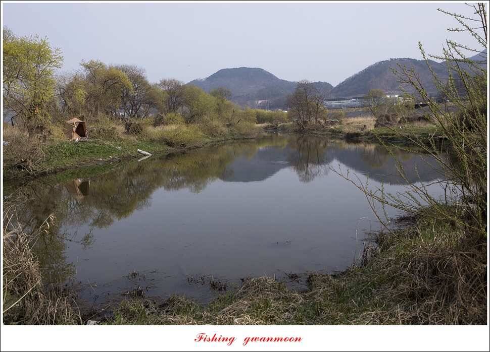 충주호 첫 붕어달천강 월척 (조황조행기 - 특파원조황)