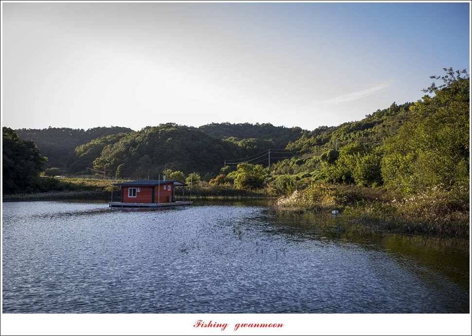 돌감 월척실리곡 월척 조황 (조황조행기 - 특파원조황)