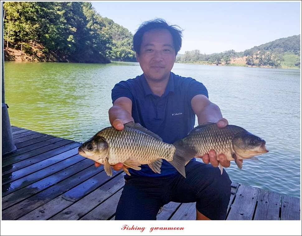 종점청풍 신리소이지 43 cm매전지 조황 (조황조행기 - 특파원조황)