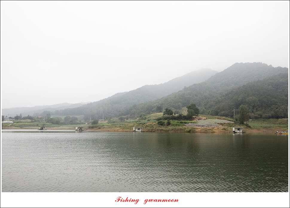 한버들실리곡매전지 조황 (조황조행기 - 특파원조황)