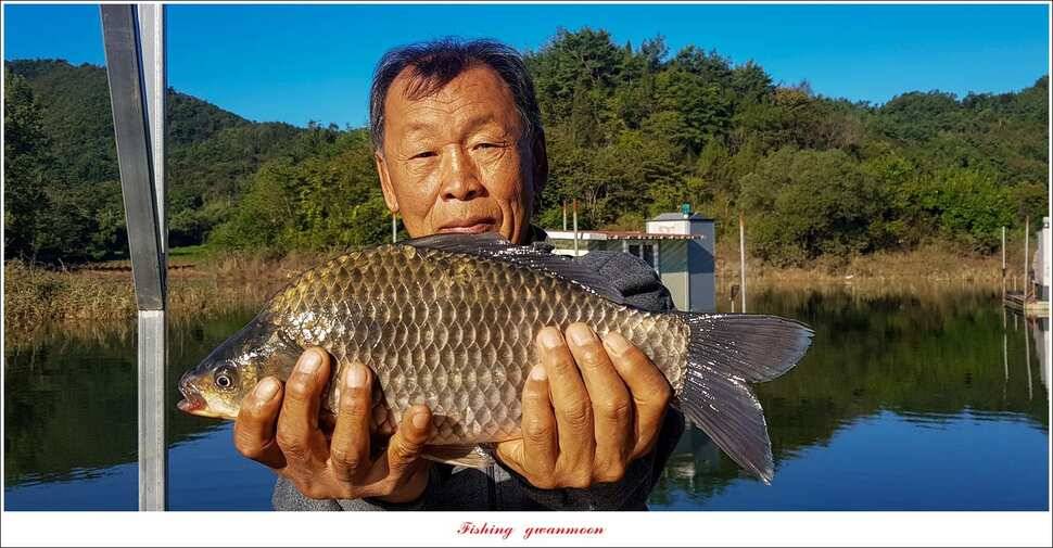 실리곡 39 cm신리 조황 및 충주권 대물 조황 (조황조행기 - 특파원조황)