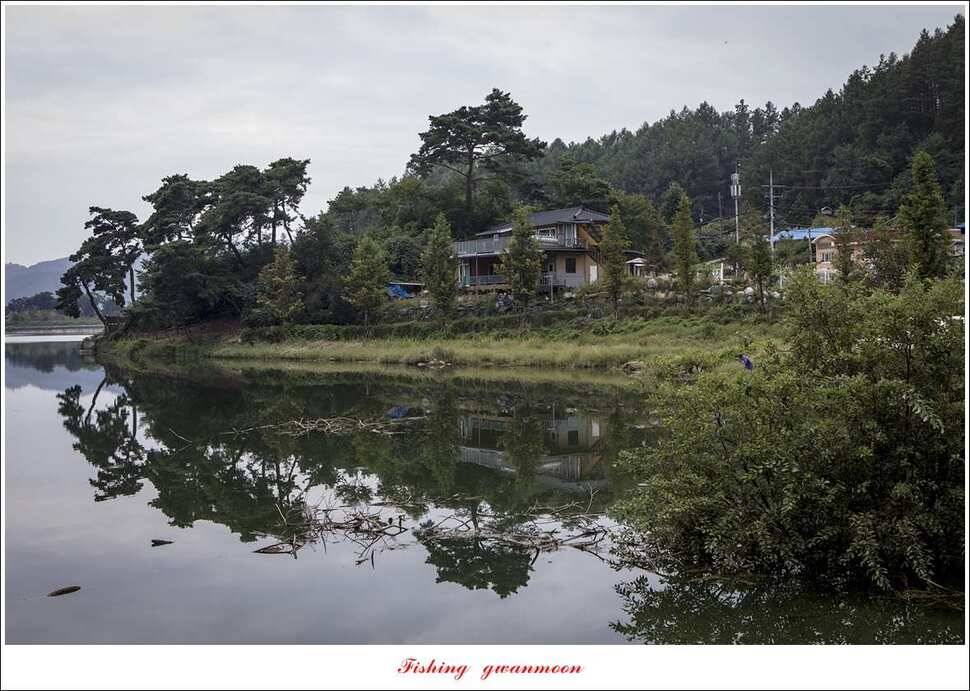 청풍 신리 39 cm실리곡 월척 조황 (조황조행기 - 특파원조황)