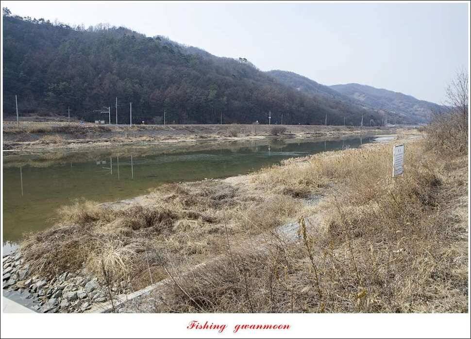 충주괴산권 물낚시 (조황조행기 - 특파원조황)