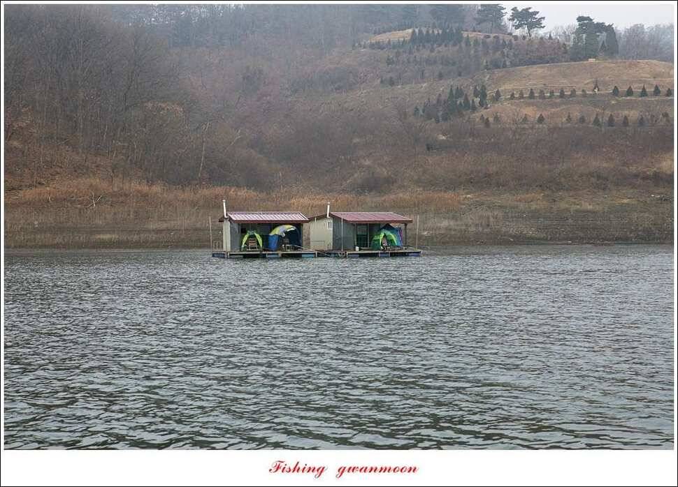돌감한버들실리곡제일 월척 조황 (조황조행기 - 특파원조황)