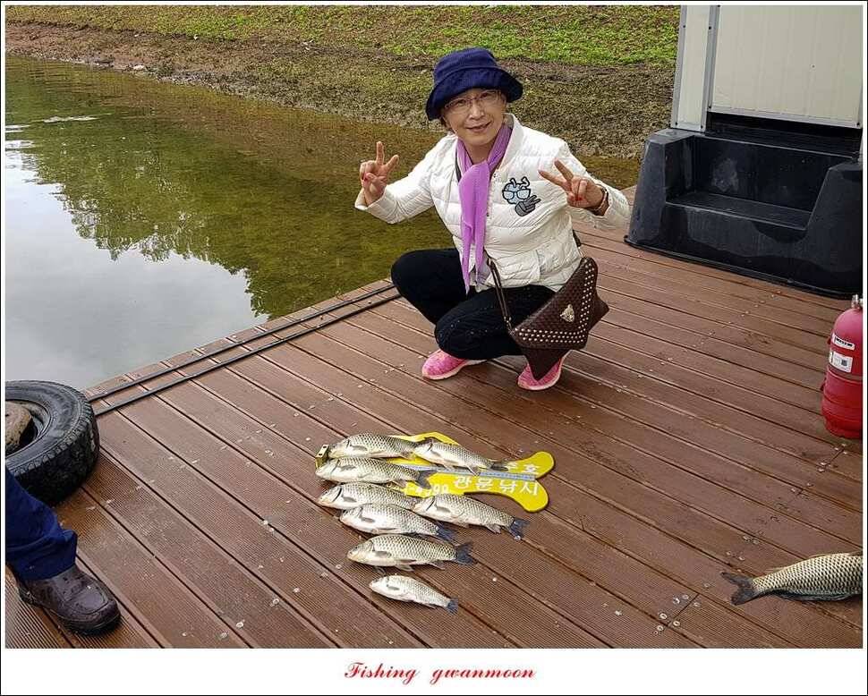 추평 465 cm칠성지 사짜충주호 조황 (조황조행기 - 특파원조황)